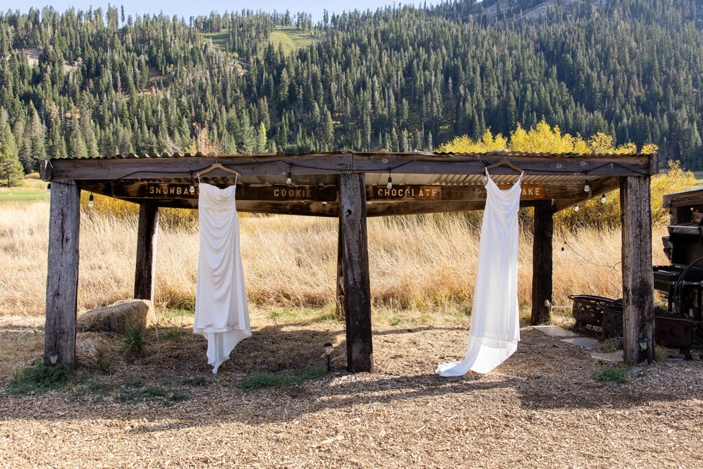 wedding dresses hanging from a wooden construction with trees and mountains in the backdrop