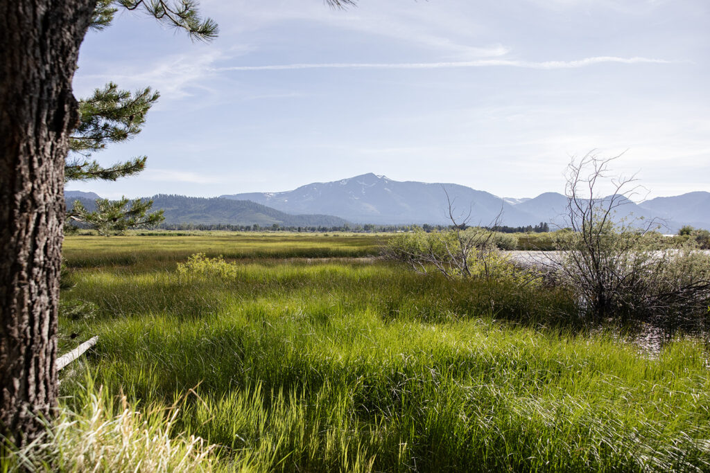 lake tahoe landscapes of the lake, grassy meadow and mountain views