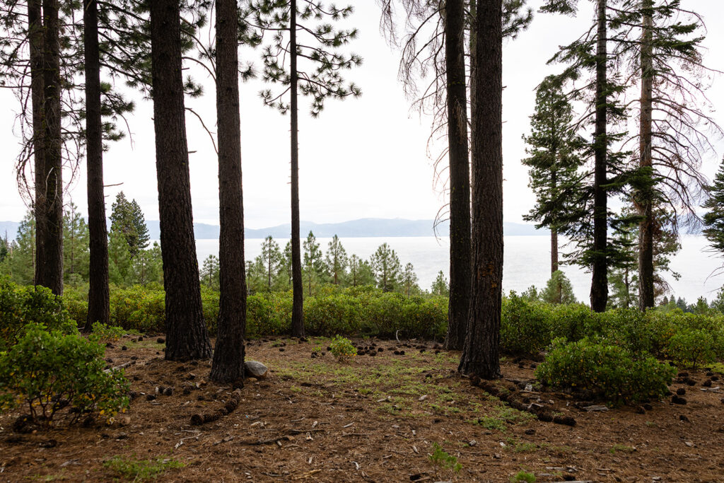 gorgeous lake tahoe overlook