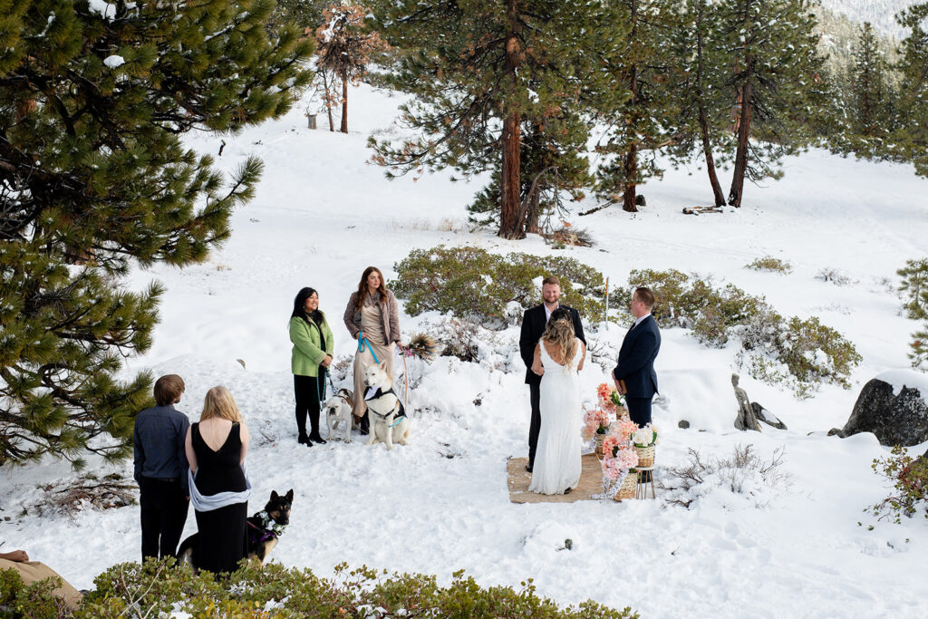 snowy lake tahoe elopement ceremony surrounded by closest loved ones