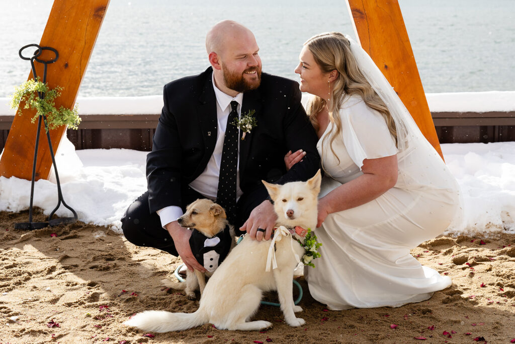 bride and groom posing with their pups