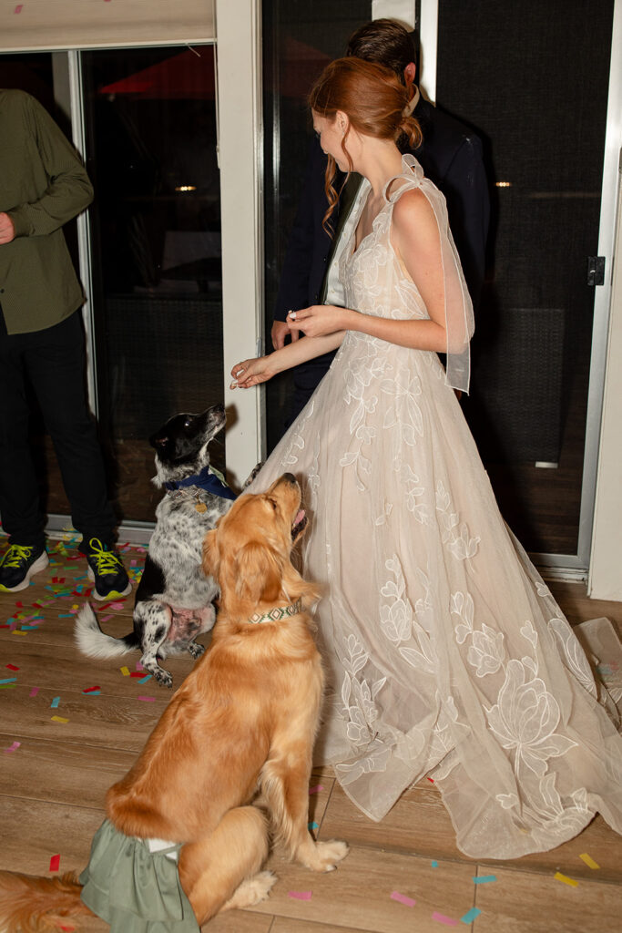 fun elopement reception at an airbnb 