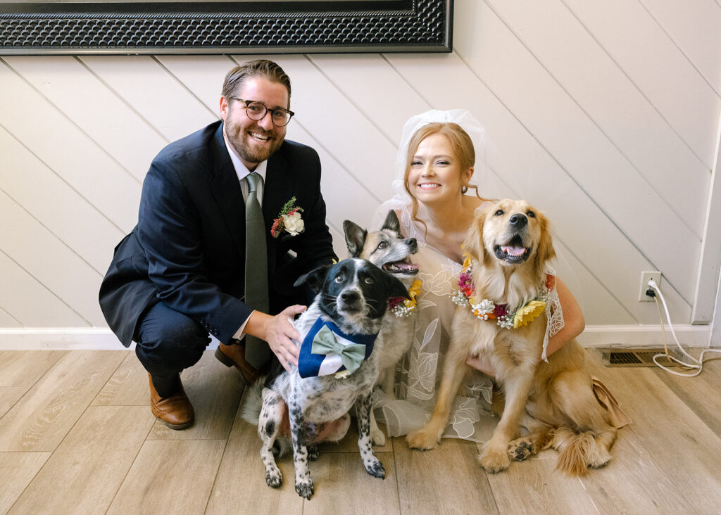 bride and groom posing with their 3 dogs