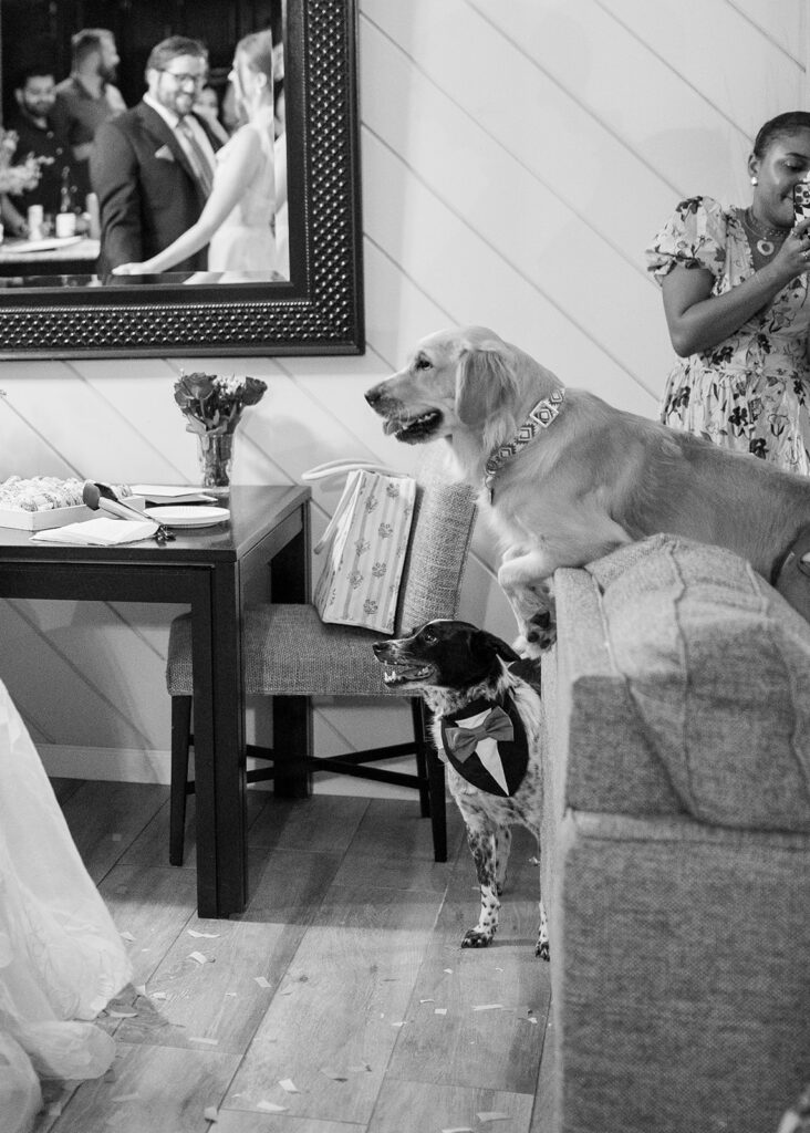 fun elopement reception dancing at an airbnb 