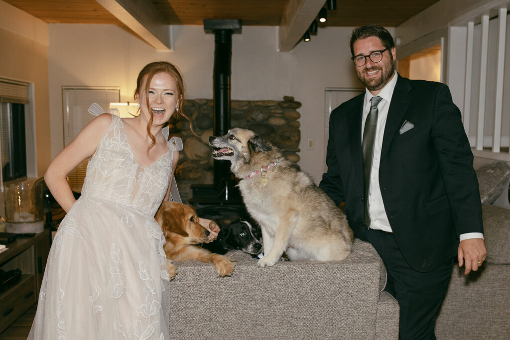 bride and groom and their pups at the airbnb
