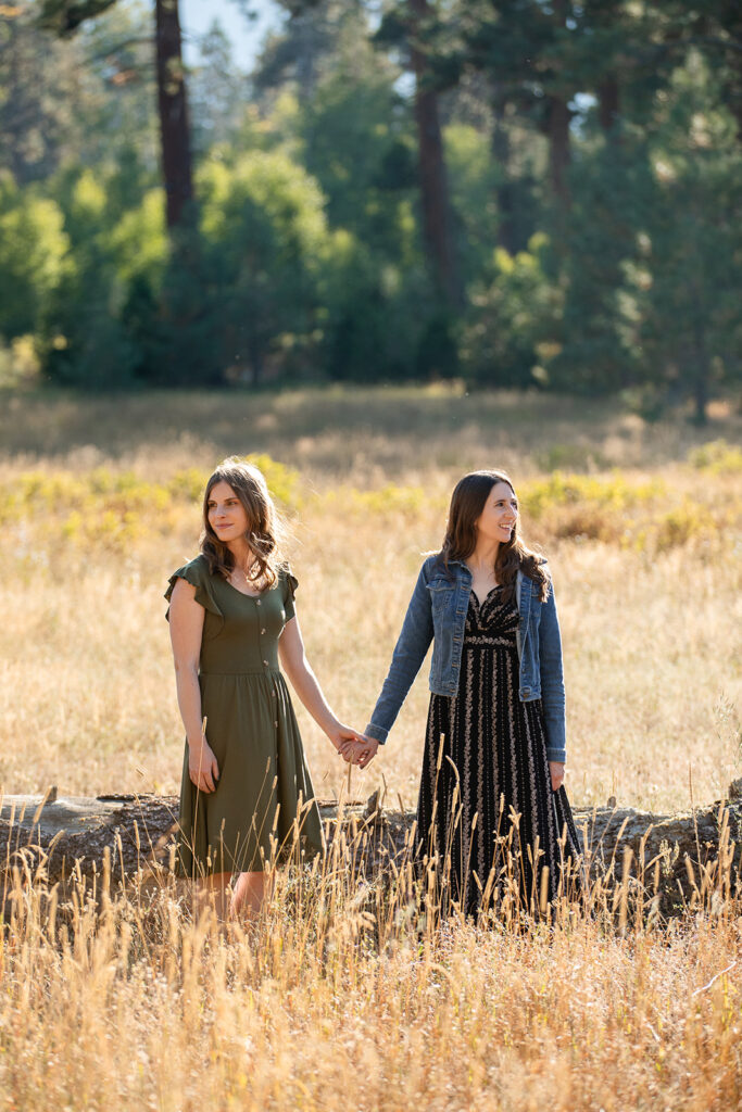 sweet couple in a golden meadow in lake tahoe during their engagement photoshoot